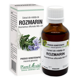ROZMARIN - Extract din mlădiţe de Rozmarin - Rosmarinus officinalis