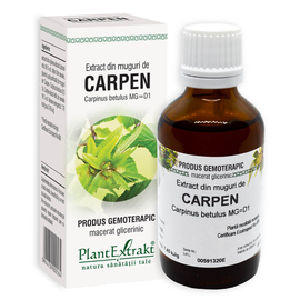 CARPEN  - Extract din muguri de Carpen - Carpinus betulus MG=D1