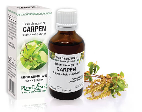 CARPEN  - Extract din muguri de Carpen - Carpinus betulus MG=D1