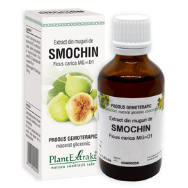 SMOCHIN - Extract din muguri de Smochin - Ficus carica