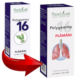 Polygemma 16 - Plămâni