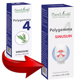 Polygemma 4 - Sinusuri