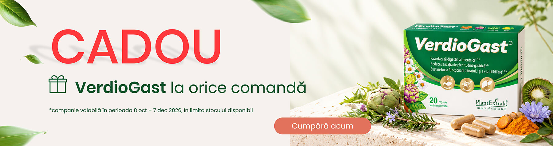 Primesti cadou un VerdioGast la orice comanda