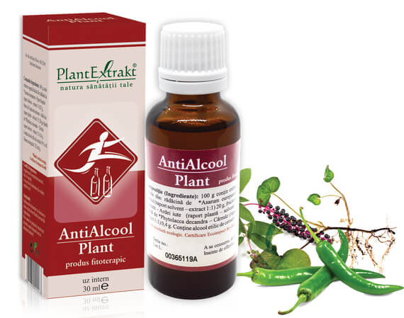 Antialcool Plant
