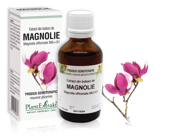 MAGNOLIE  - Extract din boboci de Magnolie - Magnolia officinalis MG=D1