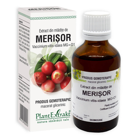 MERIŞOR  - Extract din mlădiţe de Merișor - Vaccinium vitis idaea