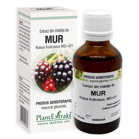 MUR - Extract din mlÄƒdiÅ£e de Mur - Rubus fructicosus MG=D1