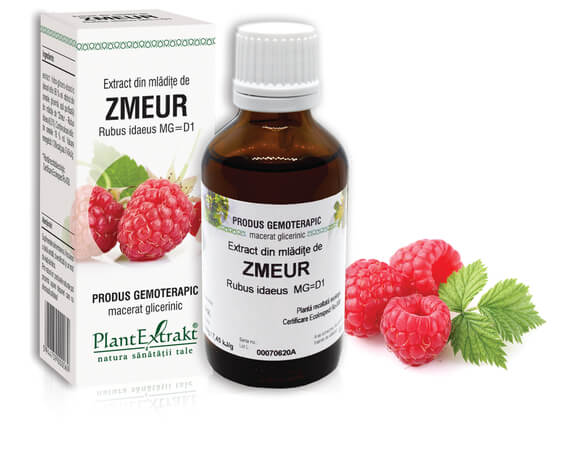ZMEUR - Extract din mlădiţe de Zmeur - Rubus idaeus