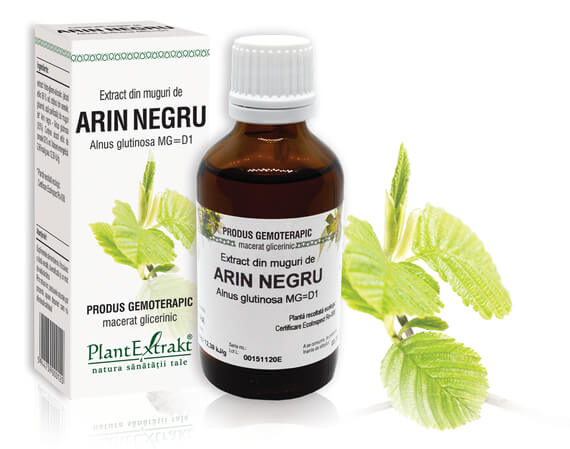 ARIN NEGRU  - Extract din muguri de Arin negru - Alnus glutinosa MG=D1