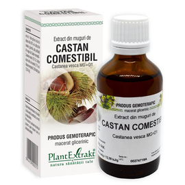 CASTAN COMESTIBIL - Extract din muguri de Castan comestibil - Castanea vesca MG=D1