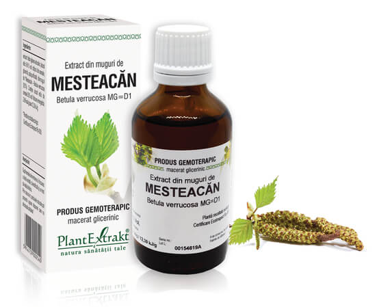 MESTEACĂN - Extract din muguri de Mesteacăn - Betula verrucosa MG=D1