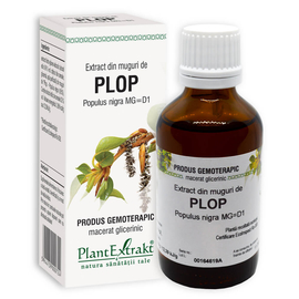 PLOP - Extract din muguri de Plop - Populus nigra MG=D1