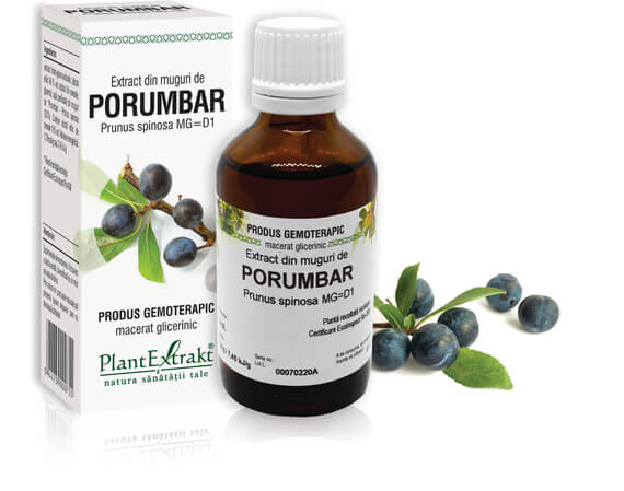 PORUMBAR - Extract din muguri de Porumbar - Prunus spinosa MG=D1