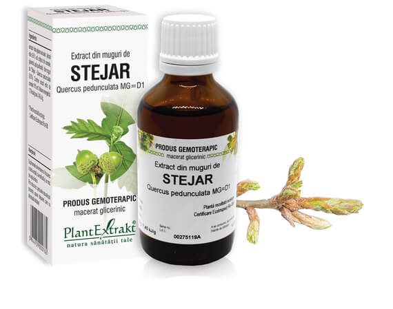 STEJAR - Extract din muguri de Stejar - Quercus pedunculata MG=D1
