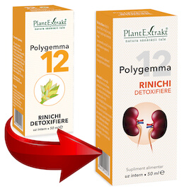 Polygemma 12 - Rinichi detoxifiere