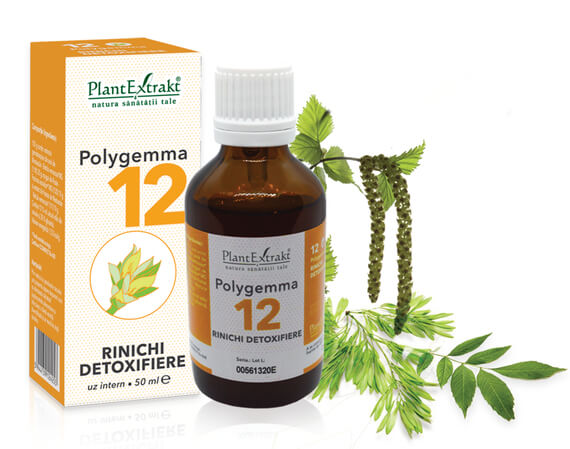 Polygemma 12 - Rinichi detoxifiere