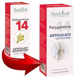 Polygemma 14 - Articulaţii detoxifiere