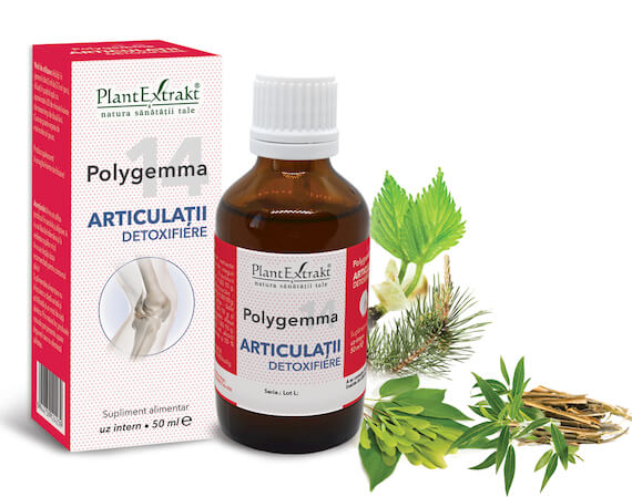 Polygemma 14 - Articulaţii detoxifiere