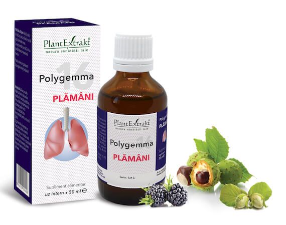 Polygemma 16 - Plămâni