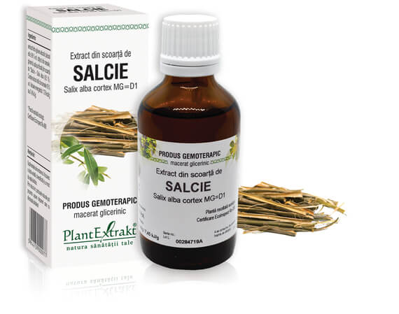 SALCIE - Extract din scoarţă de Salcie - Salix alba cortex MG=D1