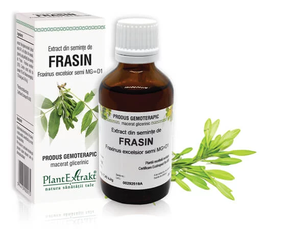 FRASIN - Extract din seminţe de Frasin - Fraxinus excelsior semi MG=D1