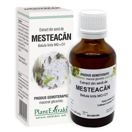 MESTEACĂN - Extract din sevă de Mesteacăn - Betula linfa MG=D1