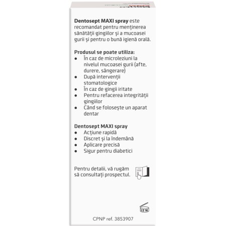 a10001-dentosept-maxi-05