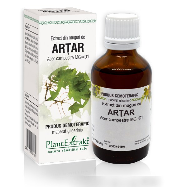 Extract din muguri de Arțar - Acer campestre MG=D1, 50 ml