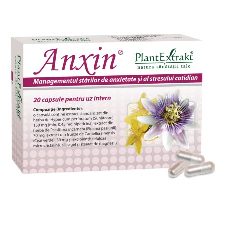 a10246-anxin-01.jpg