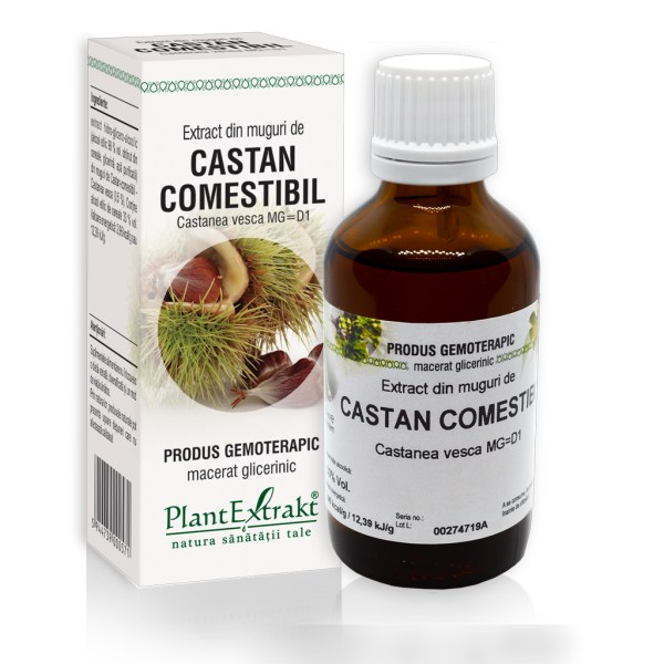 Extract din muguri de Castan comestibil - Castanea vesca MG=D1, 50 ml
