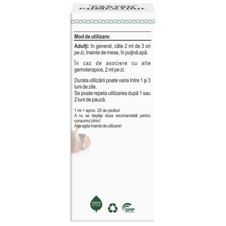 a10616-muguri-castan-comestibil-04.jpg