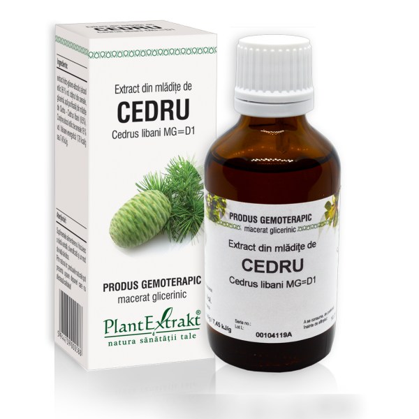 Extract din mlădiţe de Cedru - Cedrus libani MG=D1, 50 ml