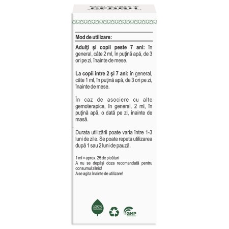 a10624-mladite-cedru-04.jpg