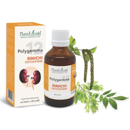 a11755-polygemma-12-rinichi-detoxifiere-02.jpg