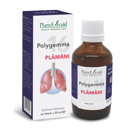 a11759-polygemma-16-plamani-01