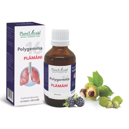 a11759-polygemma-16-plamani-02
