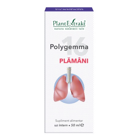 a11759-polygemma-16-plamani-03