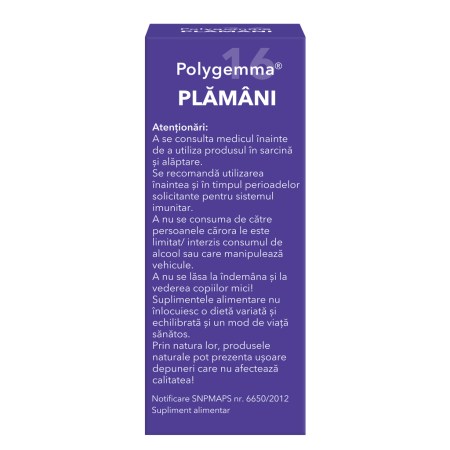 a11759-polygemma-16-plamani-05