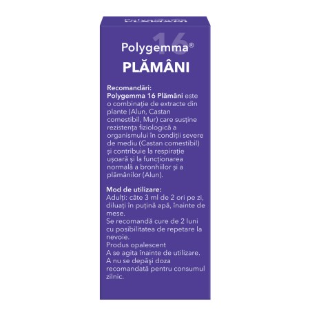 a11759-polygemma-16-plamani-06