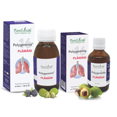 a11759-polygemma-16-plamani-07