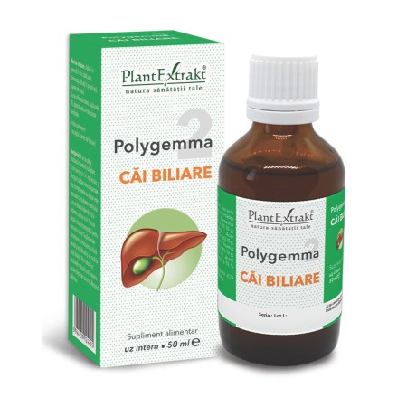 a11763-polygemma-2-cai-biliare-01.jpg