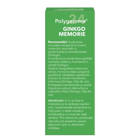 a11768-polygemma-24-ginkgo-memorie-06.jpg