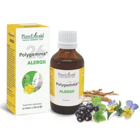 a11770-polygemma-26-alregii-02.jpg