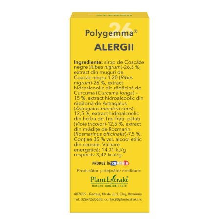 a11770-polygemma-26-alregii-04.jpg