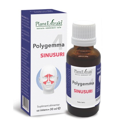 a11772-polygemma-4-sinusuri-01.jpg