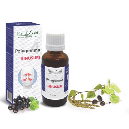 a11772-polygemma-4-sinusuri-02.jpg