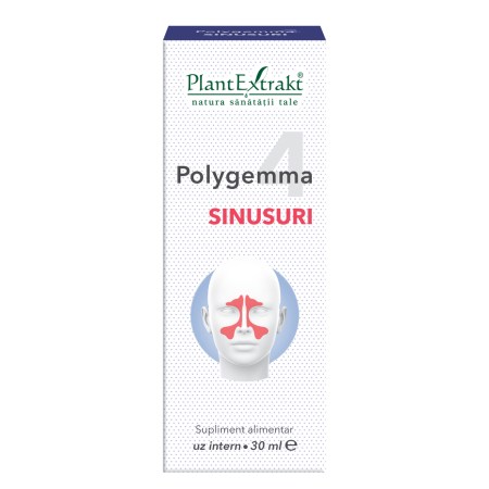 a11772-polygemma-4-sinusuri-03.jpg