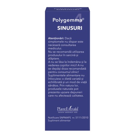 a11772-polygemma-4-sinusuri-05.jpg