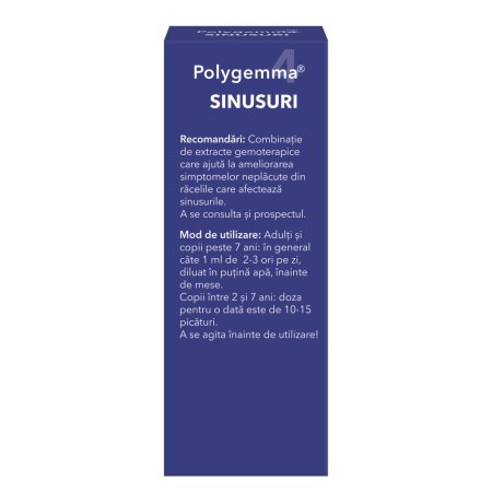 a11772-polygemma-4-sinusuri-06.jpg