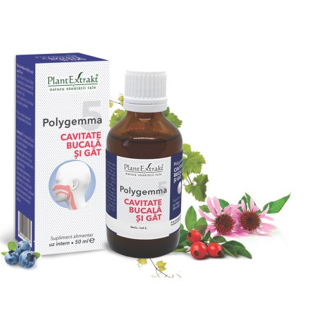 a11773-polygemma-5-cavitate-bucala-si-gat-02.jpg